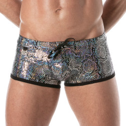 Splendid Swim Trunks Silver