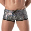 Splendid Swim Trunks Silver