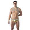 Magic H Harness Gold