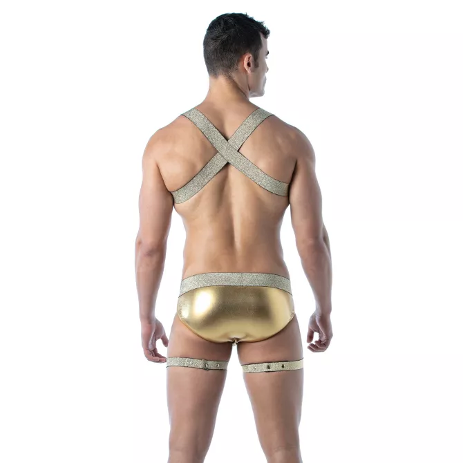 Magic Gold Leg Harness – Sexy Men’s Accessory
