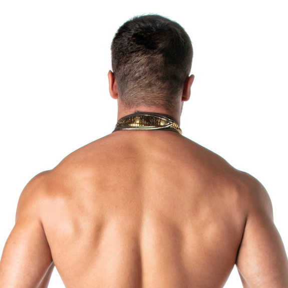 Glitter Collar Gold for men