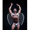 Harnais de cuisse - Sexywear - Homme - Aile d'ange - De Face