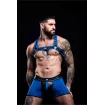 Harnais Bulldog Neoprene Bleu