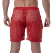 Short Long Transparent rouge de dos
