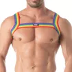 Rainbow Chest Harness