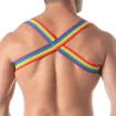 Harnais D'épaule Rainbow de dos