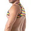 Harnais Homme Rainbow