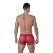 See Through Mens Mini Shorts Red Back