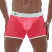 Neon Mesh Shorts Pink first picture